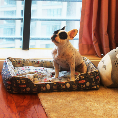 養(yǎng)寵物必備的實(shí)用工具，看看你是否準(zhǔn)備齊了