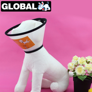 佺球寵物用品專營店 寵物生活服務領導者，僅此一天大放送！