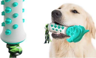 楚克奇寵物用品 多元產品線，滿足寵物全方位需求