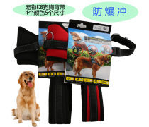 金色品質(zhì)，寵愛無價(jià) 探索高端寵物用品世界