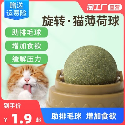 萌寵經濟崛起 網購寵物用品成消費新趨勢